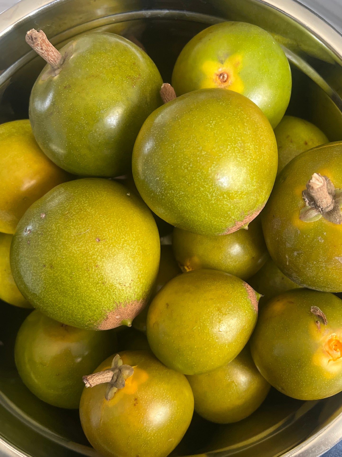 Lucuma - Pouteria lucuma