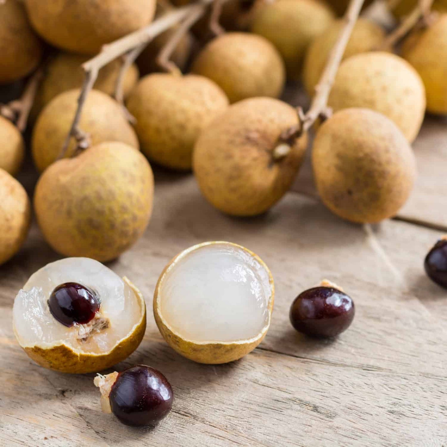 Longan - Dimocarpus Longan