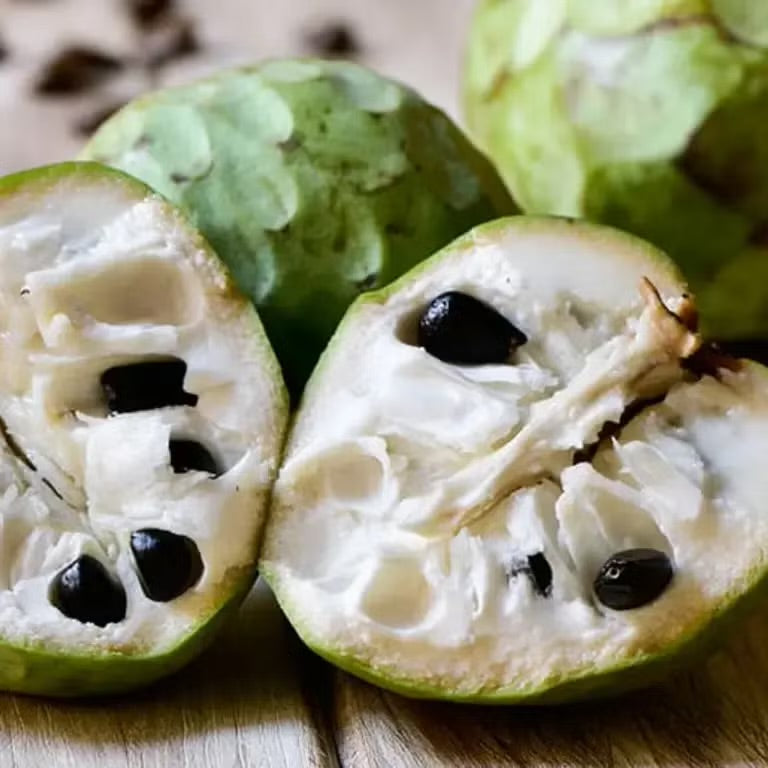 Cherimoya - Annona cherimola