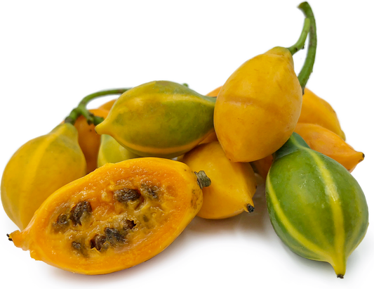 Oak Leaf Papaya - Vasconcellea quercifolia