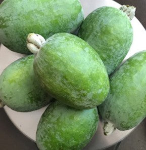 Pineapple Guava Feijoa - Acca sellowiana